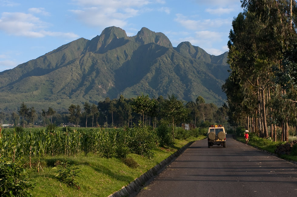 Virunga Volcanoes